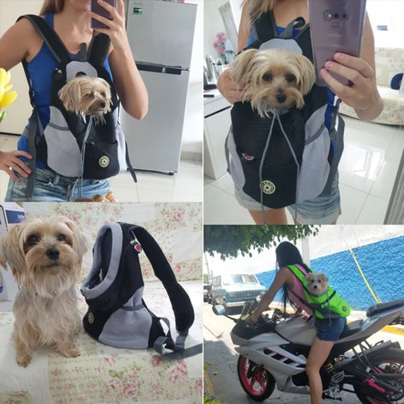 Pack-Paws Double Shoulder Mesh Pet Backpack