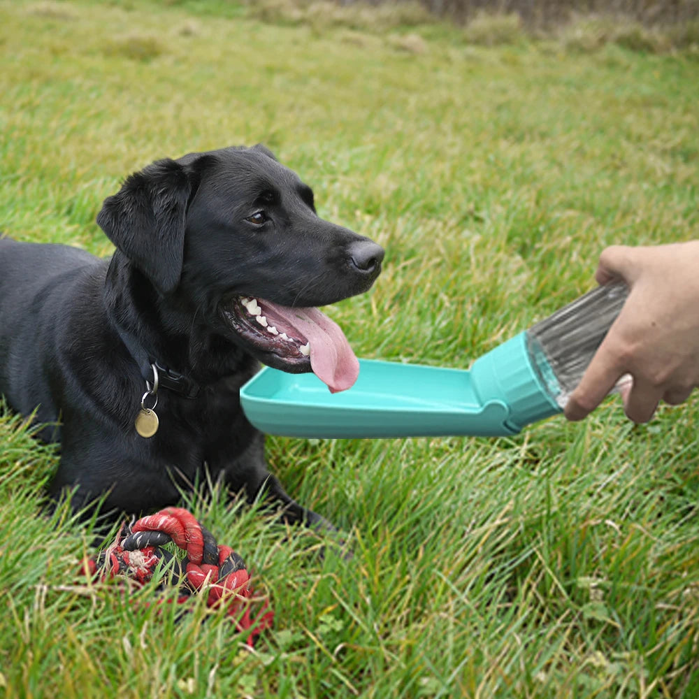 Pack-Paws Foldable Outdoor Puppy Drinking Cup
