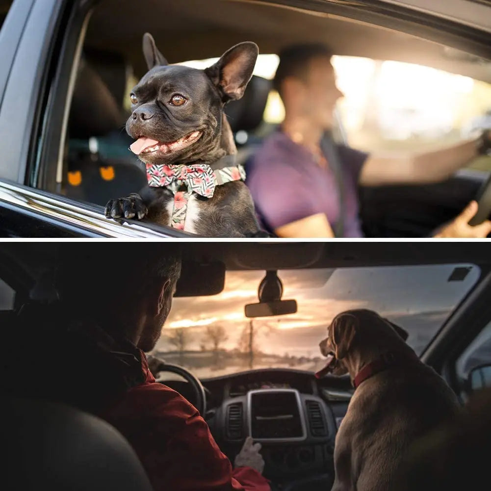 Pack-Paws Premium Front Seat Dog Car Cover