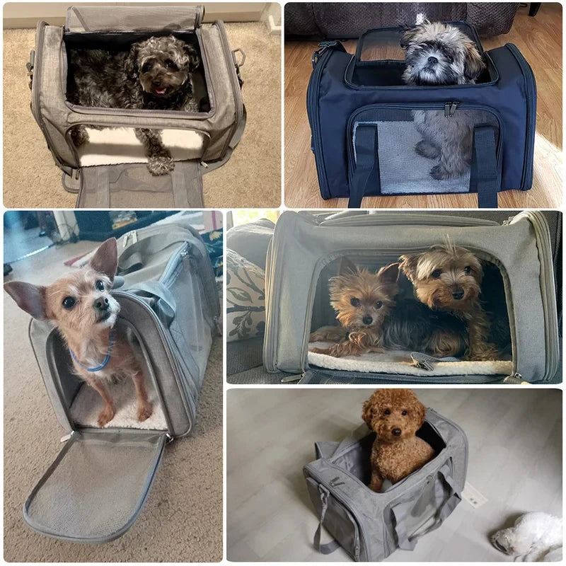 Pack-Paws Soft-Sided Lightweight Puppy Carrier