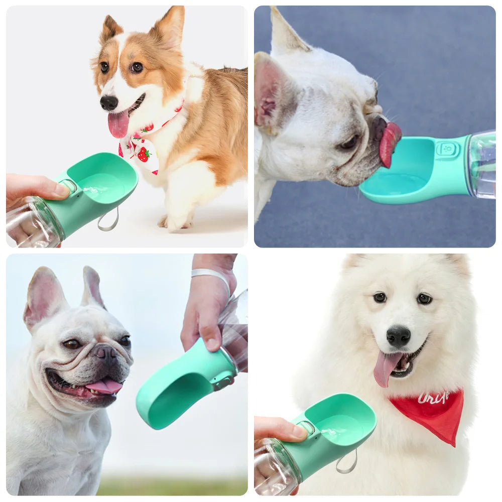 Pack-Paws Leakproof Dog Travel Drinking Bowl (Dual)