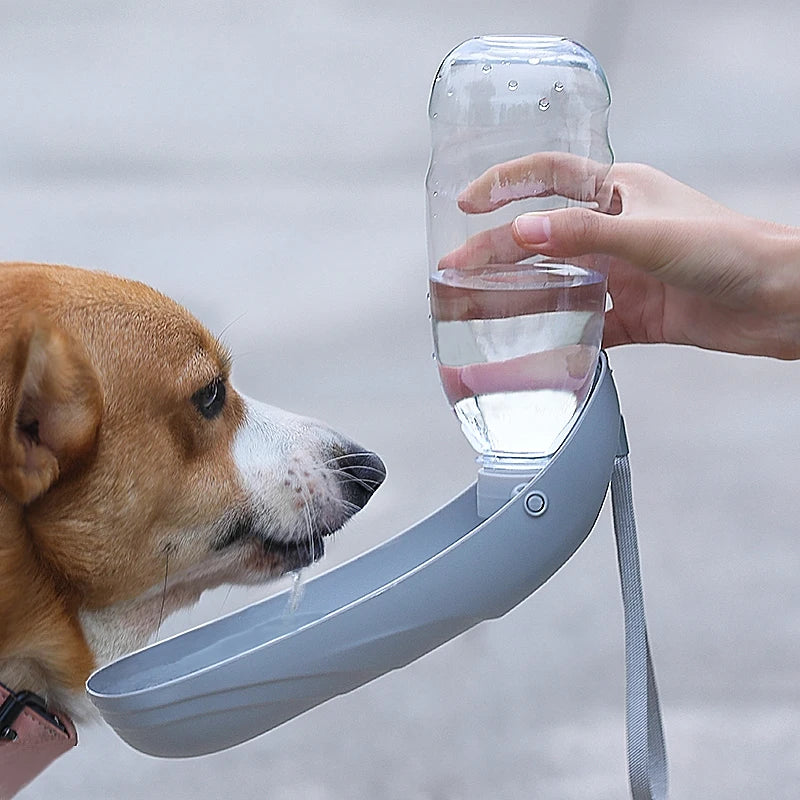 Pack-Paws Foldable Lightweight Travel Dog Bottle