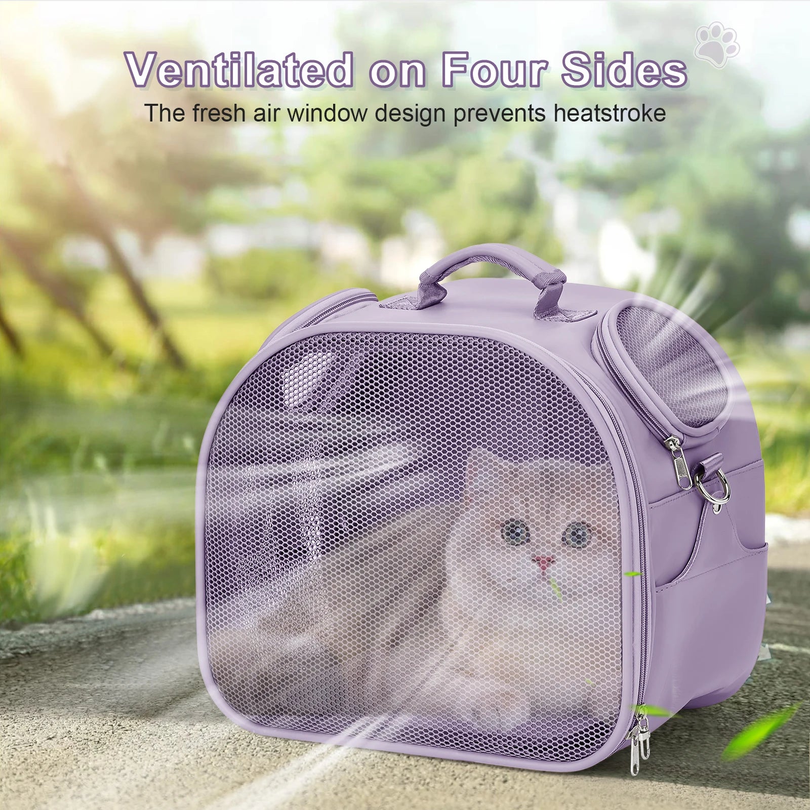 Pack-Paws Airline Approved Breathable Pet Carrier