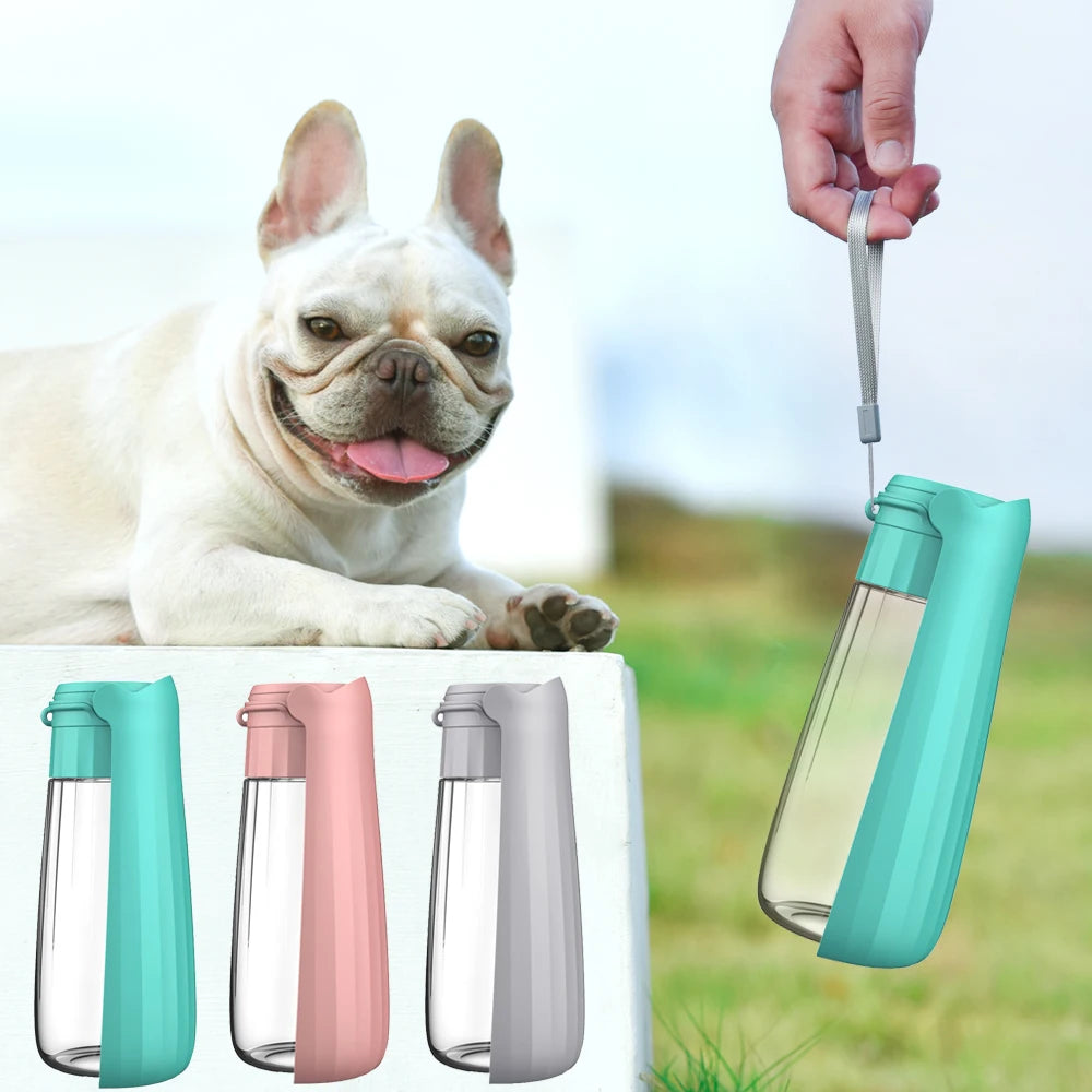 Pack-Paws Foldable Outdoor Puppy Drinking Cup