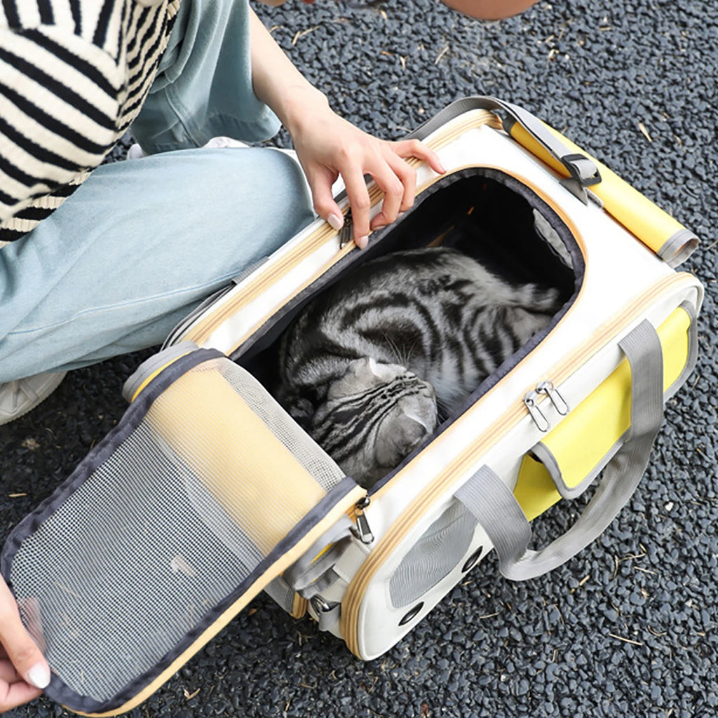 Pack-Paws Foldable Oxford Fabric Travel Tote