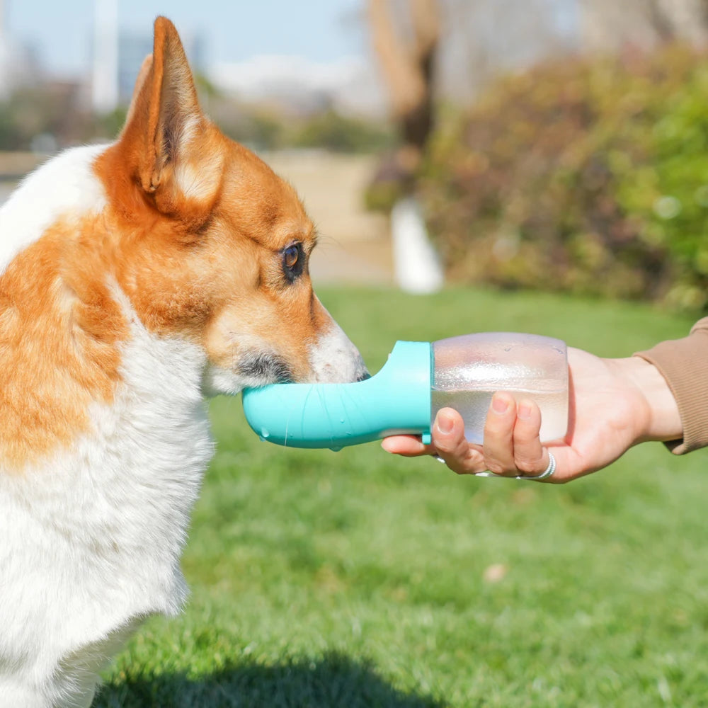 Pack-Paws Portable Travel Dog Water Bottle (300ml)