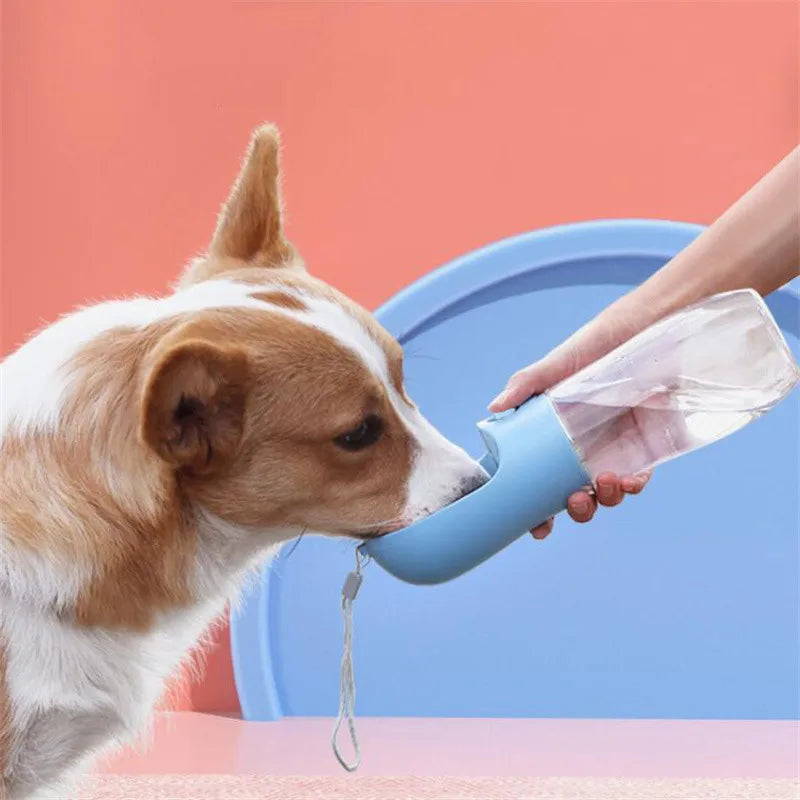 Pack-Paws Leakproof Dog Travel Drinking Bowl