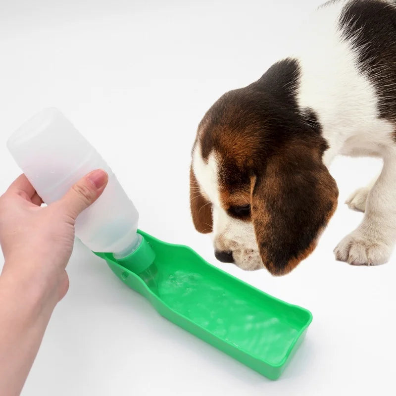 Pack-Paws Quick-Dispense Travel Pet Water Bottle