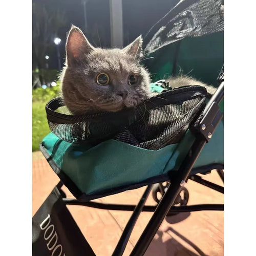 Pack-Paws Detachable Fashionable Pet Stroller