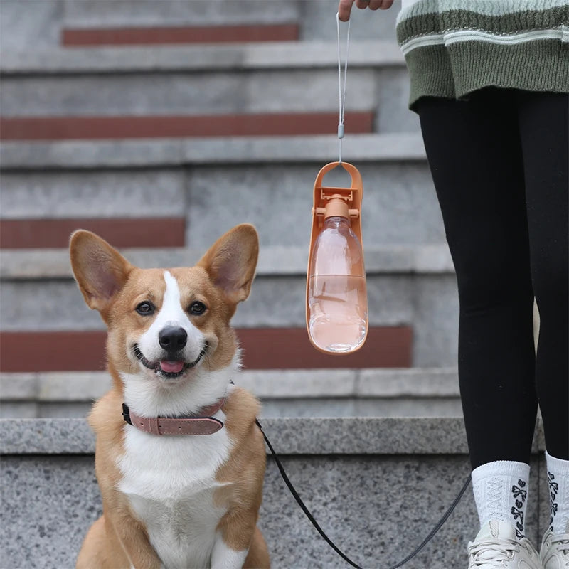 Pack-Paws Foldable Lightweight Travel Dog Bottle