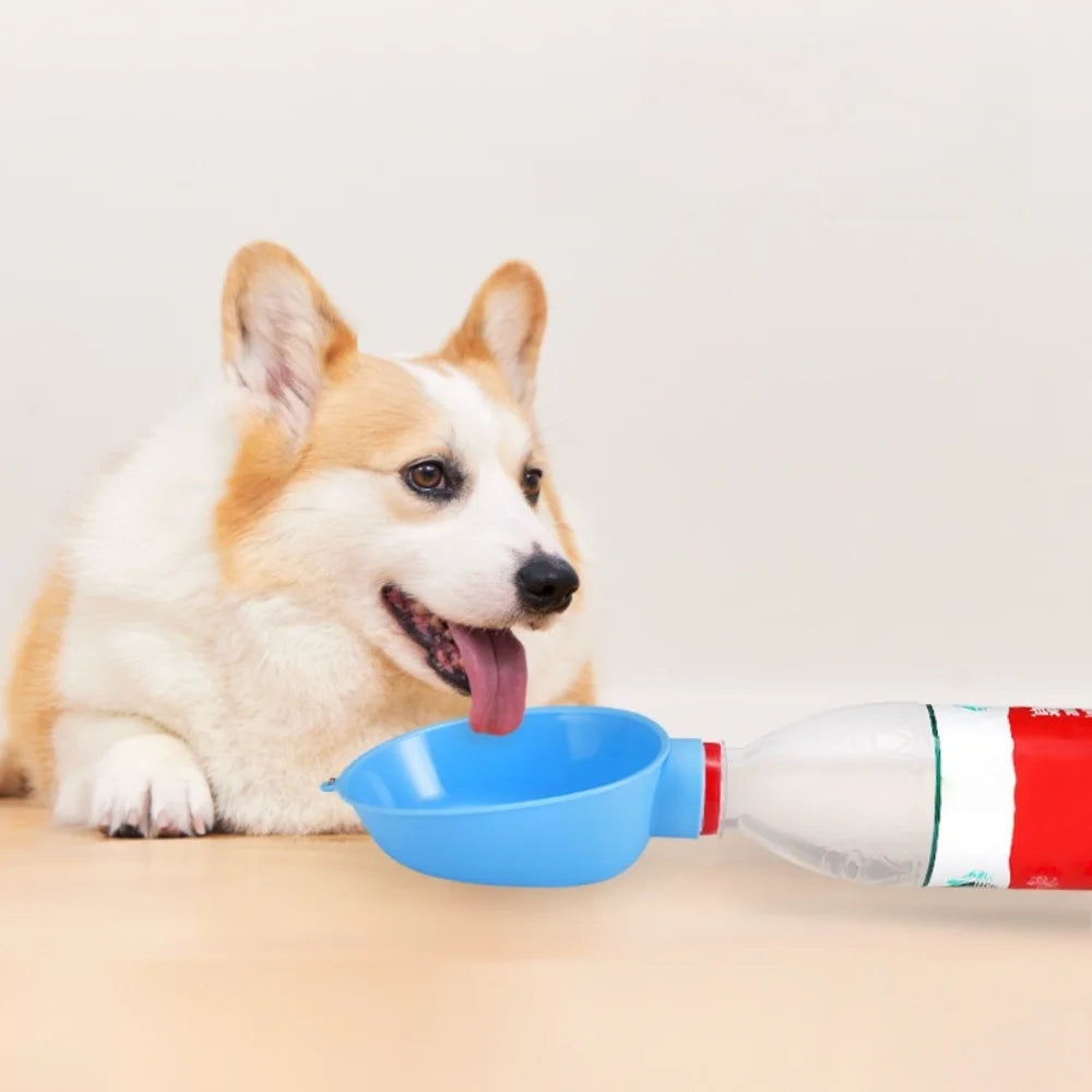 Pack-Paws Premium Pet Travel Hydration Bottle