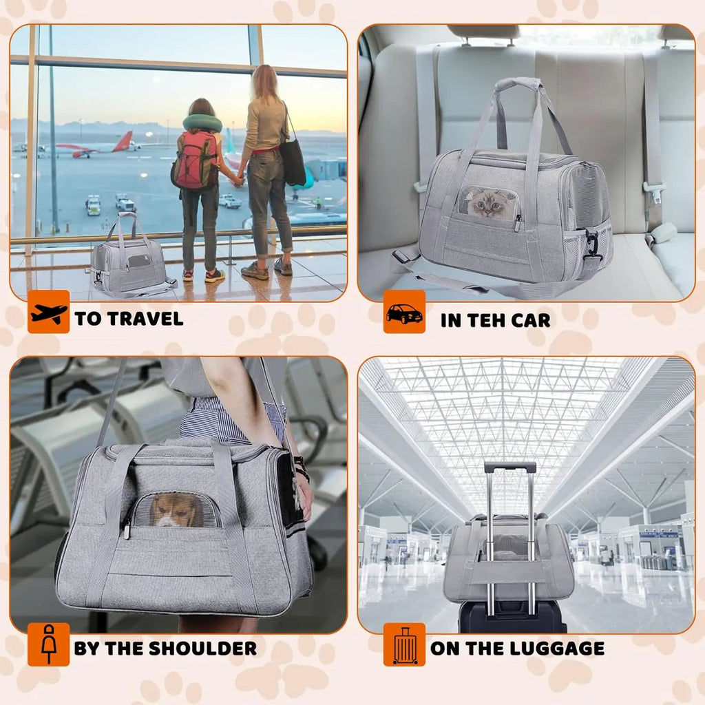 Pack-Paws Under-Seat Cabin Pet Carrier Backpack