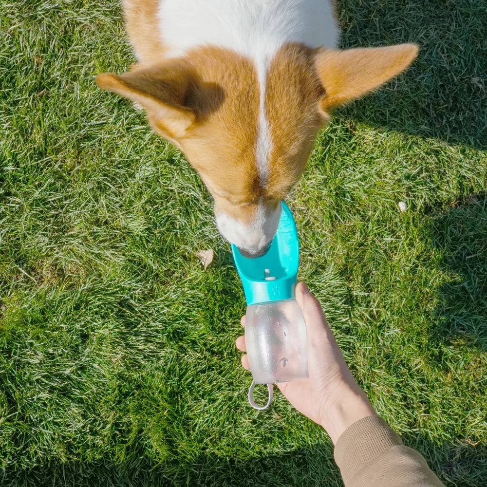 Pack-Paws Portable Travel Dog Water Bottle (300ml)